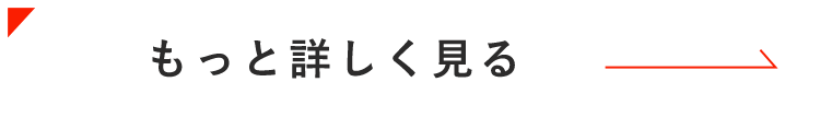 もっと詳しく見る